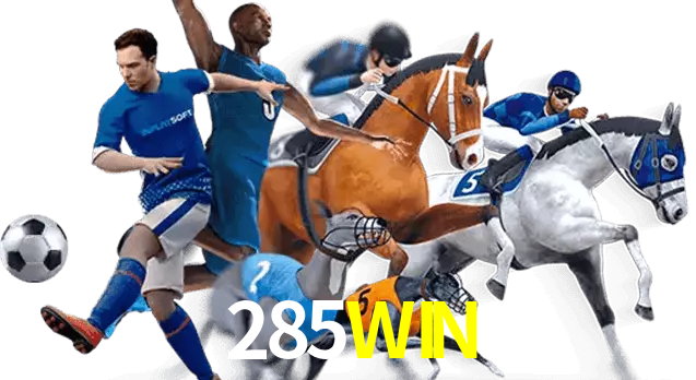 285WIN