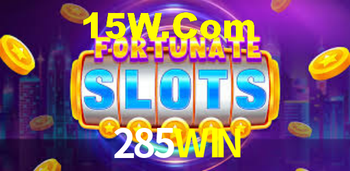 285WIN